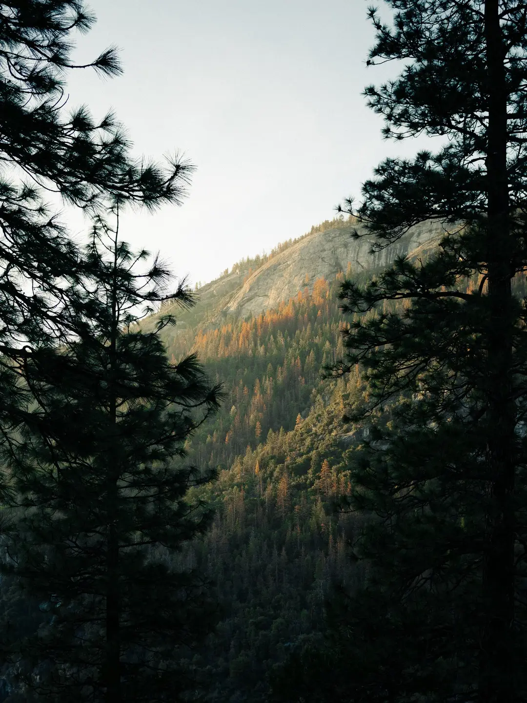 Morehead Campground