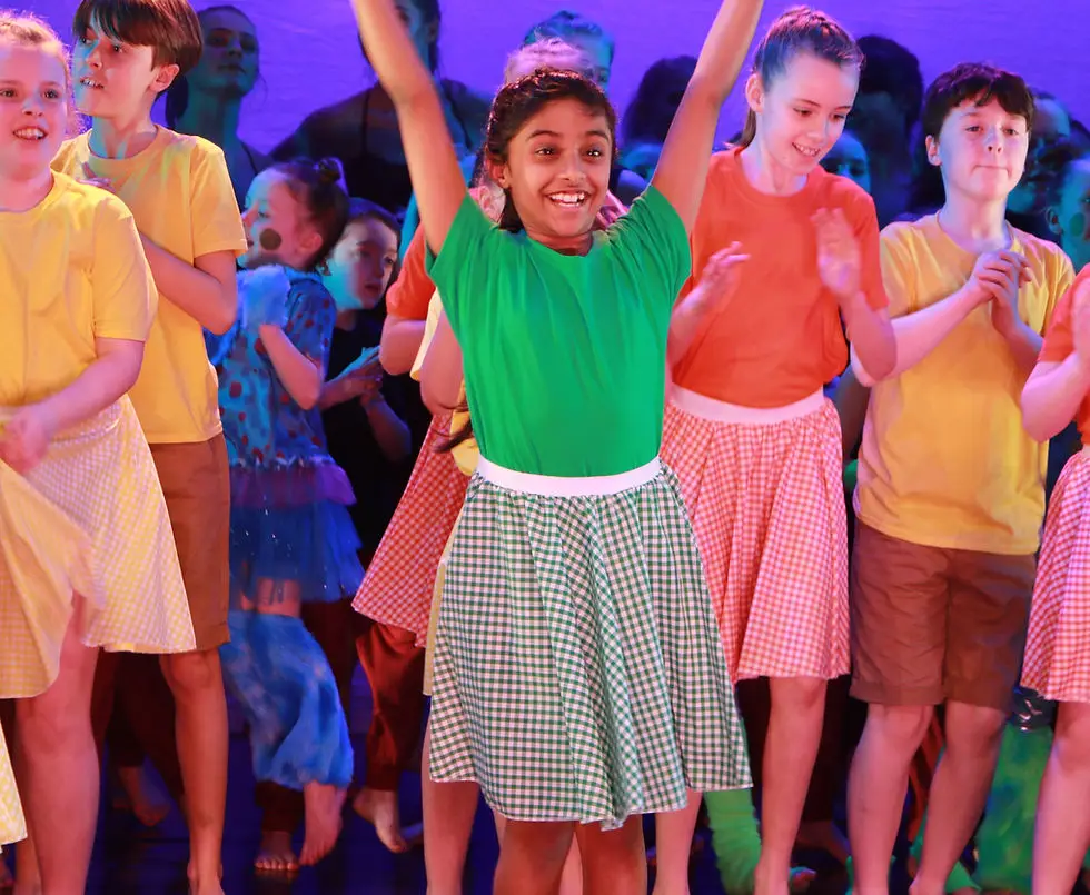 The Performing Arts Academy