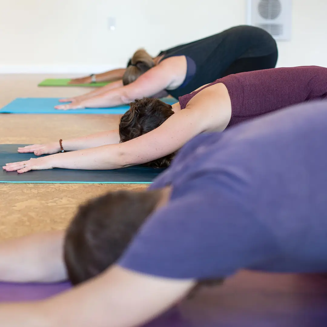 Inner Roar Yoga & Wellness