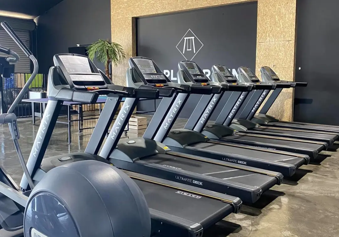 The Playground Gym