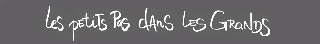 Dance Studio Les Petits Pas Dans Les Grands