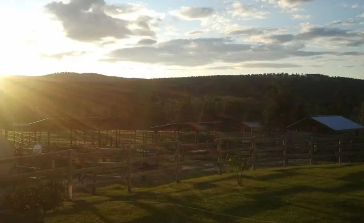 Horizon Equine Facility