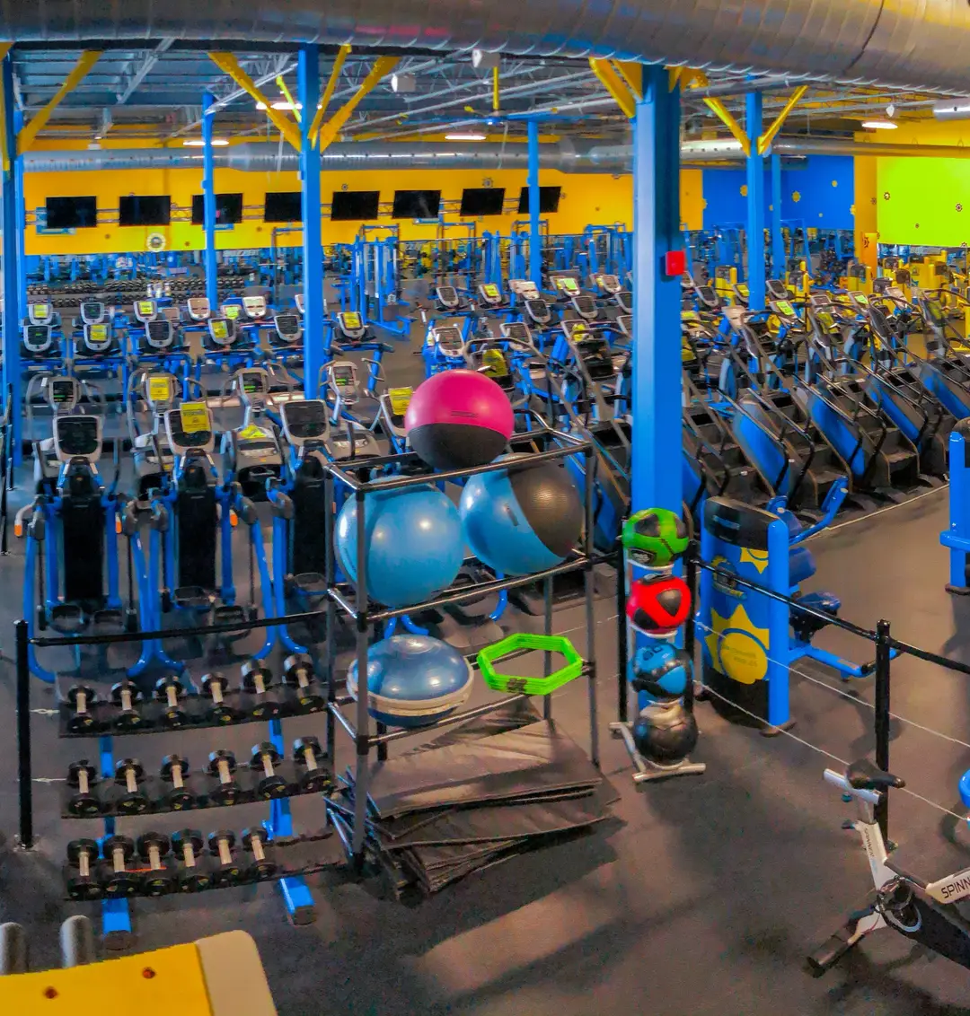 Buzzfit - Kirkland