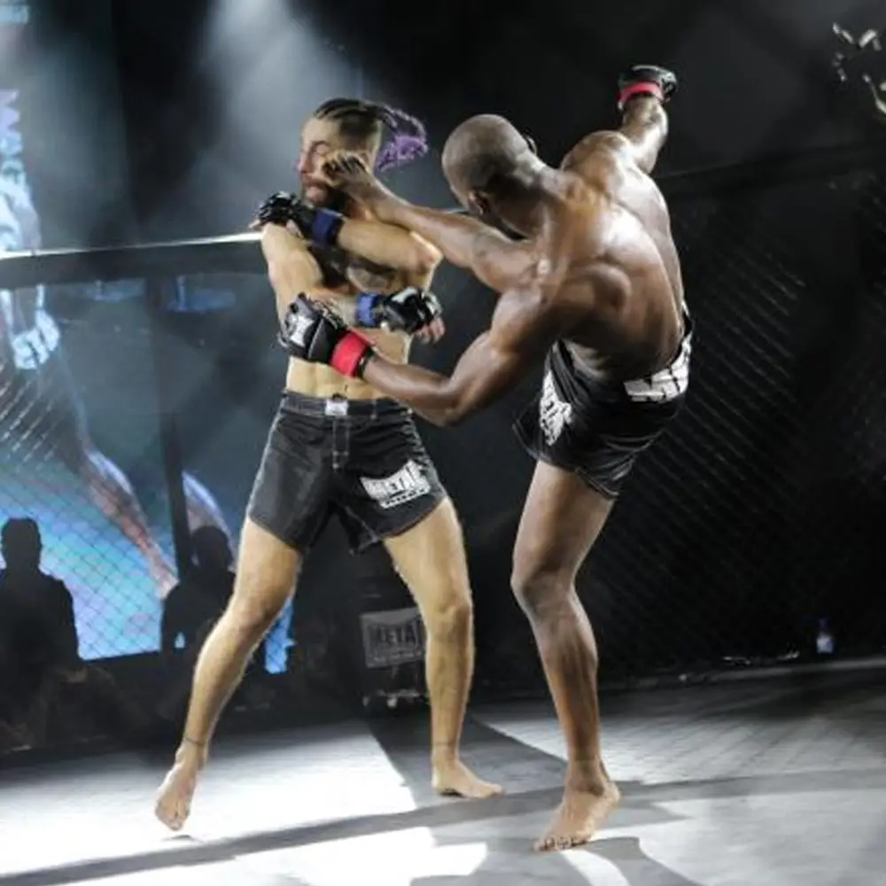 Ninja mixed martial arts and Fitness Academy Chennai