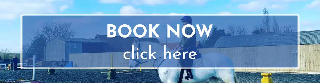 Iken Bay Riding & Livery