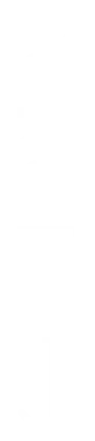 elevatemartialarts