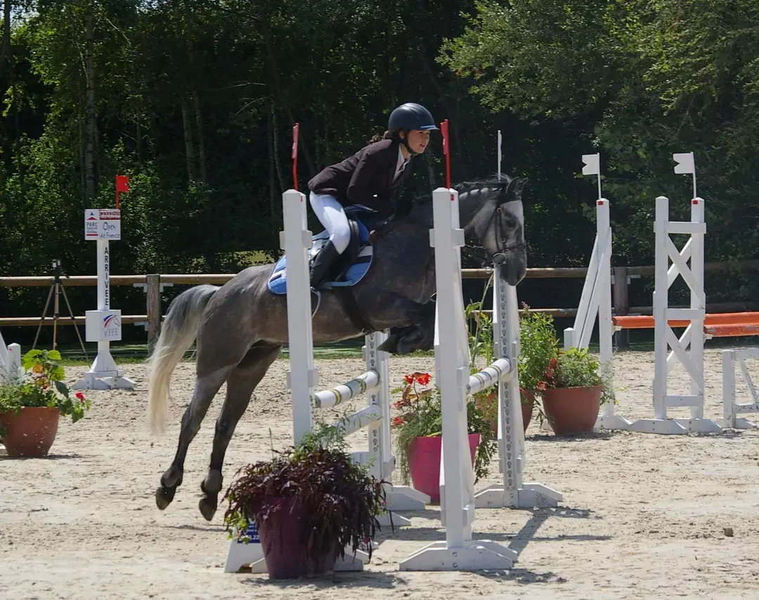 PONEY CLUB D AVANCON