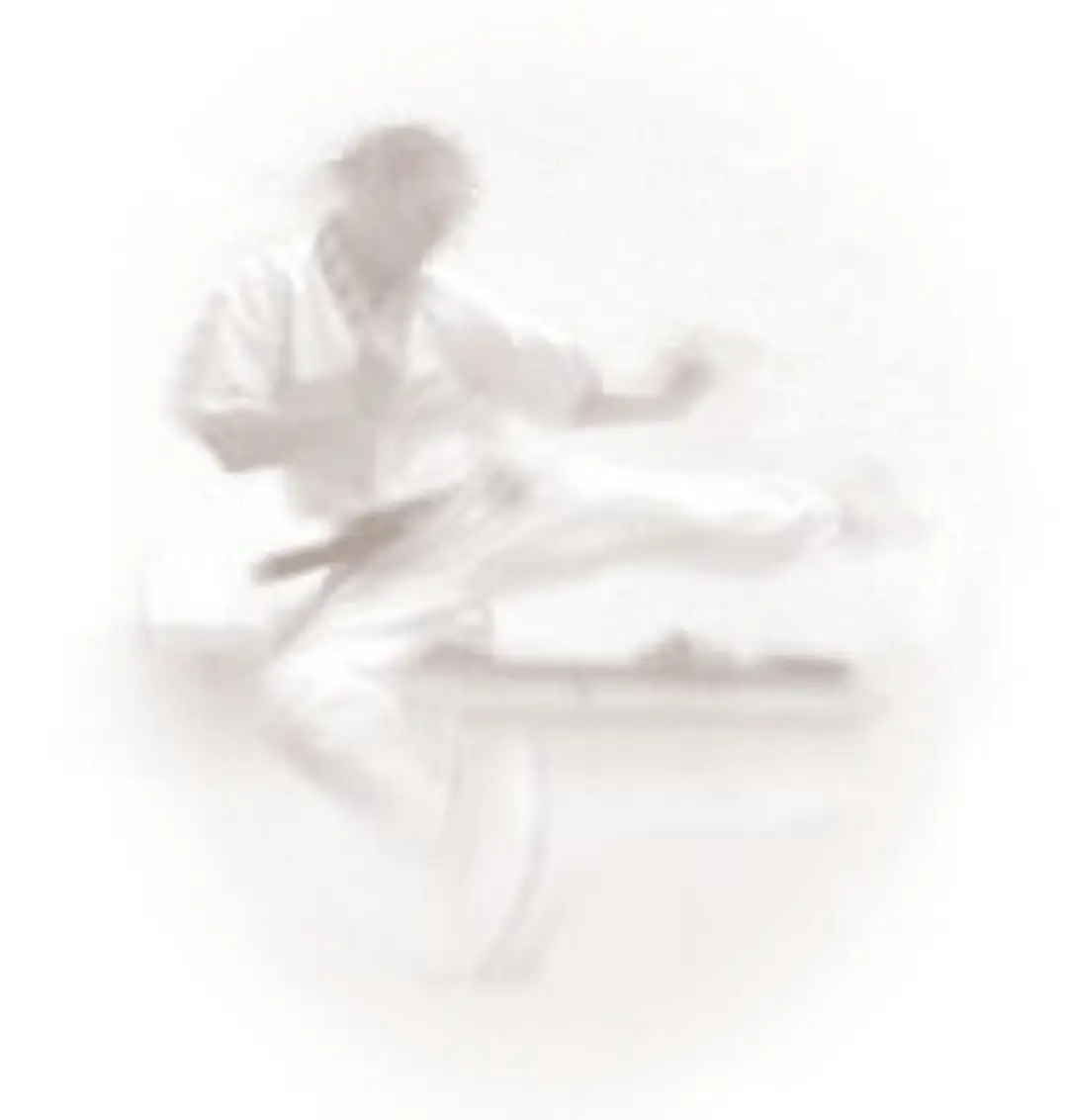 South East Academy of Martial Arts