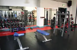 The Fitness Habit