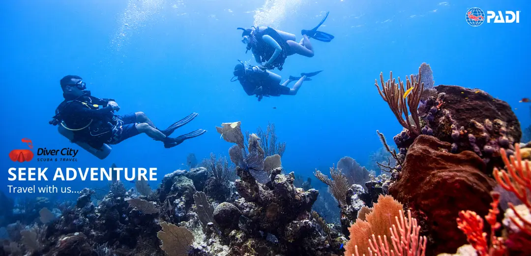 Diver City SCUBA