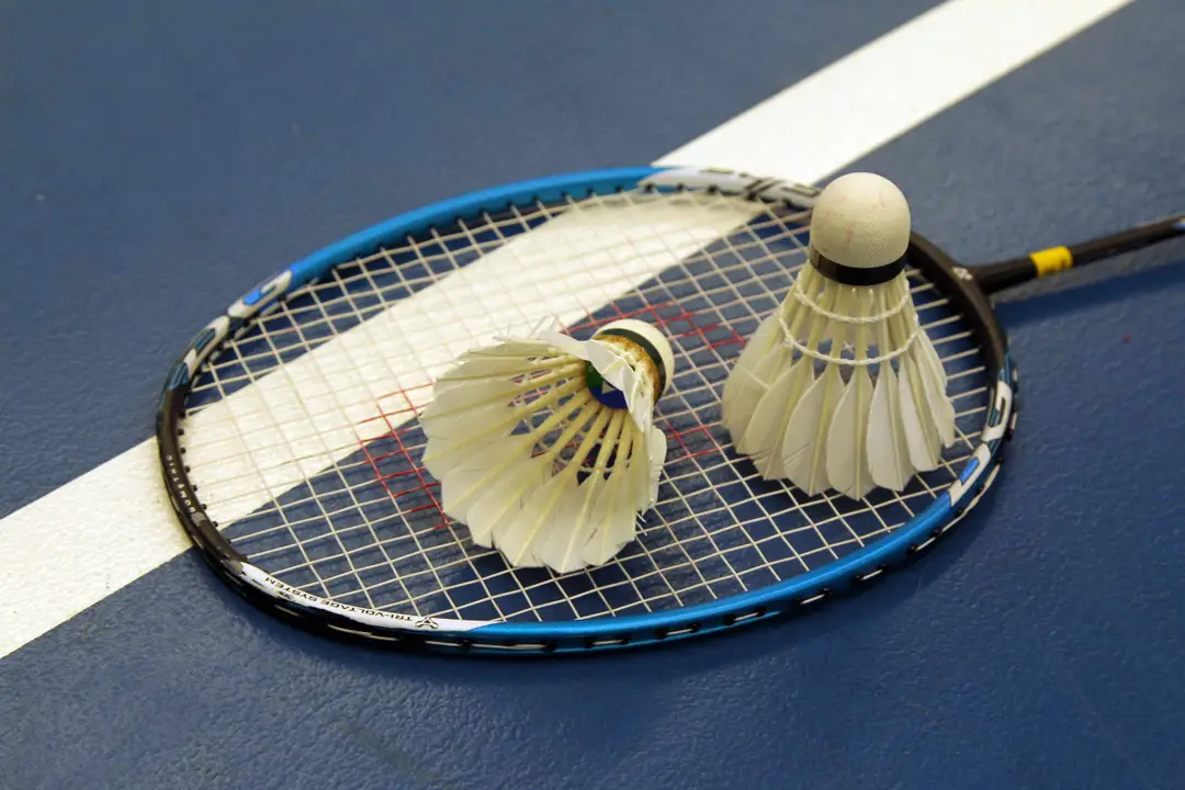 Phoenix Badminton Club