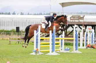 Abigail Equestrian