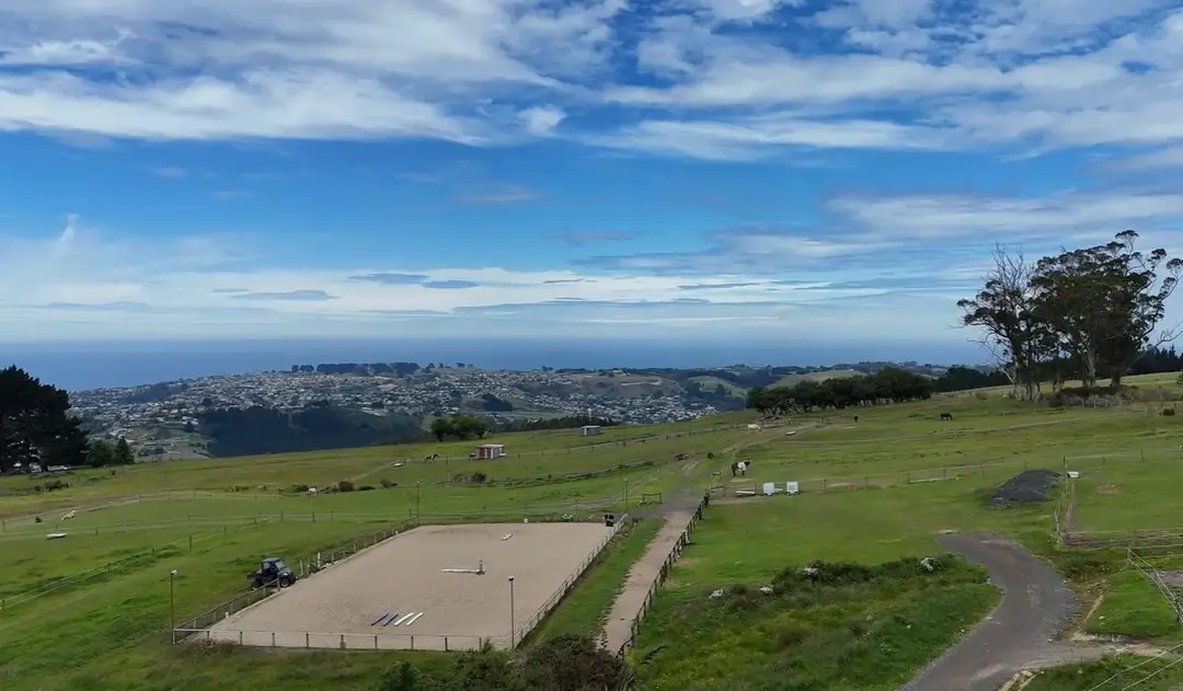 Dunedin Riding Academy