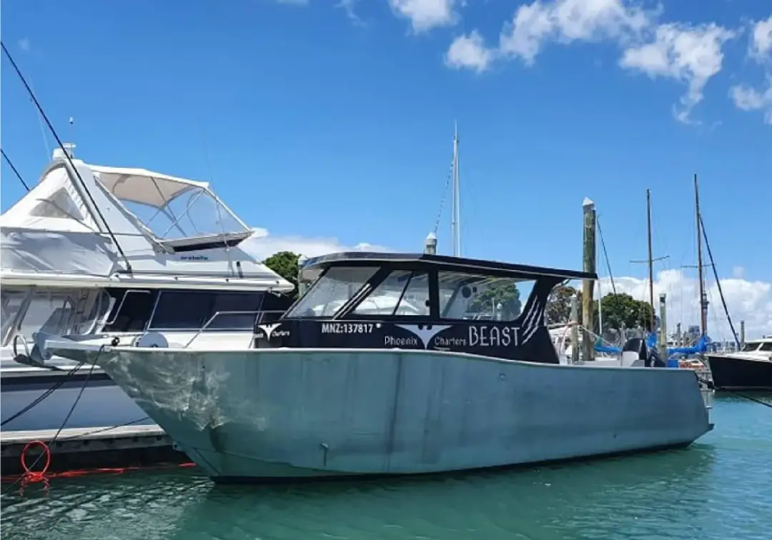 Phoenix Charters