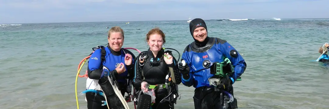 SEAL Diving Services