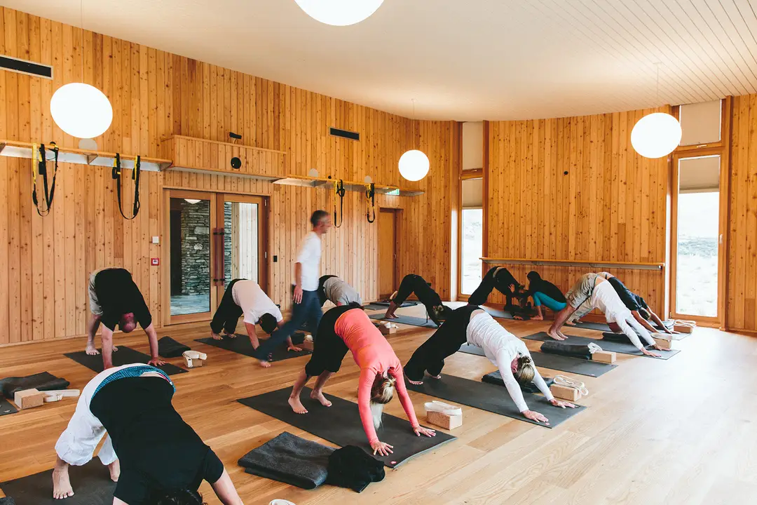 Yoga Colibri