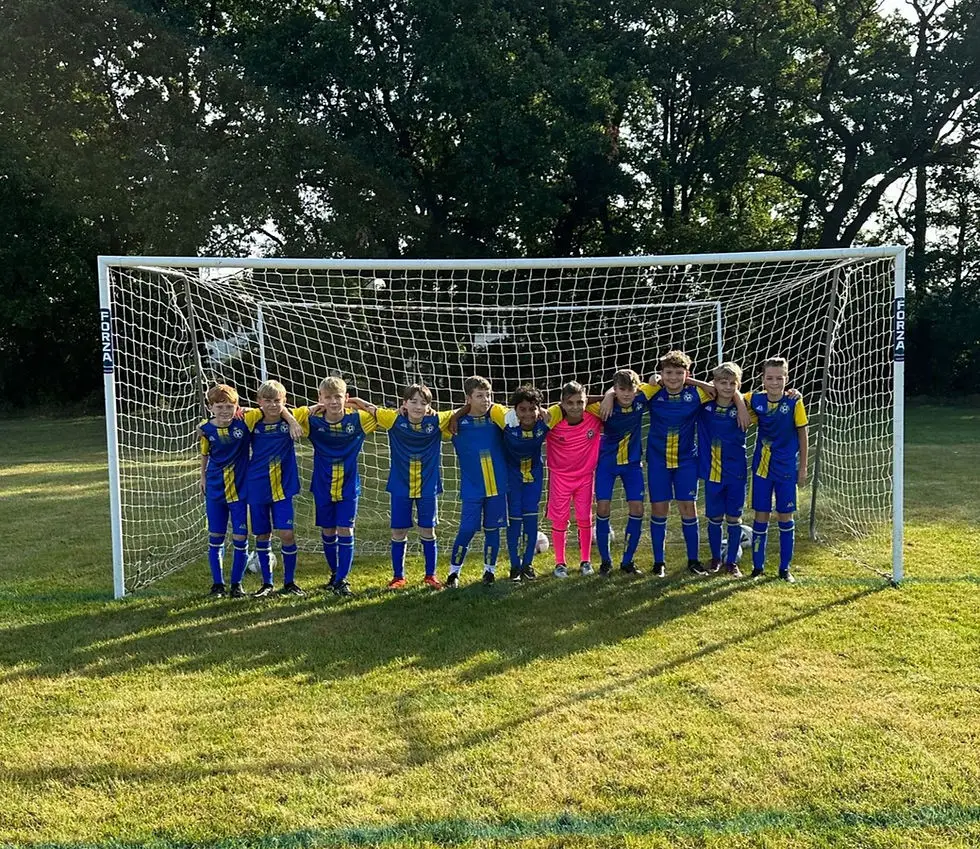 Royal Earlswood FC