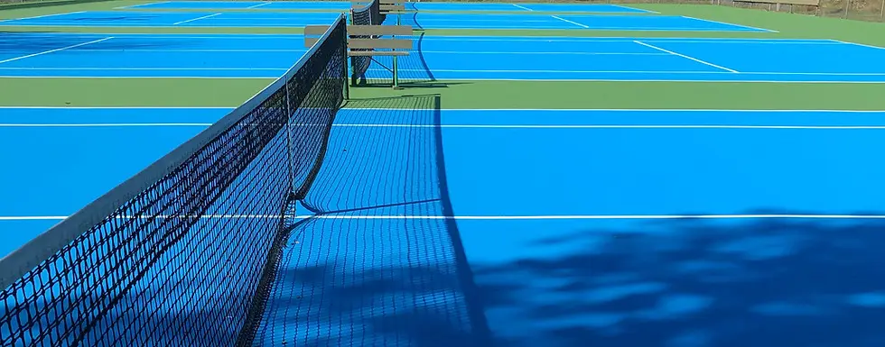 Fenelon Falls tennis club