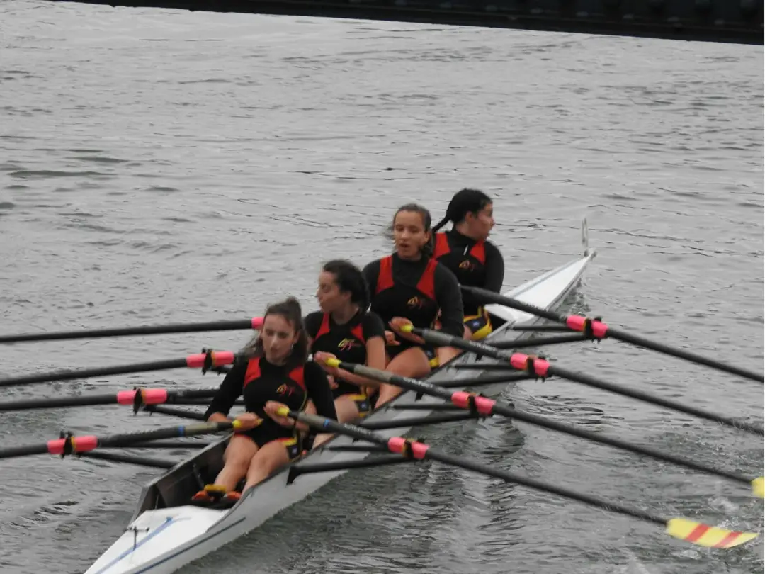 Aviron Majolan