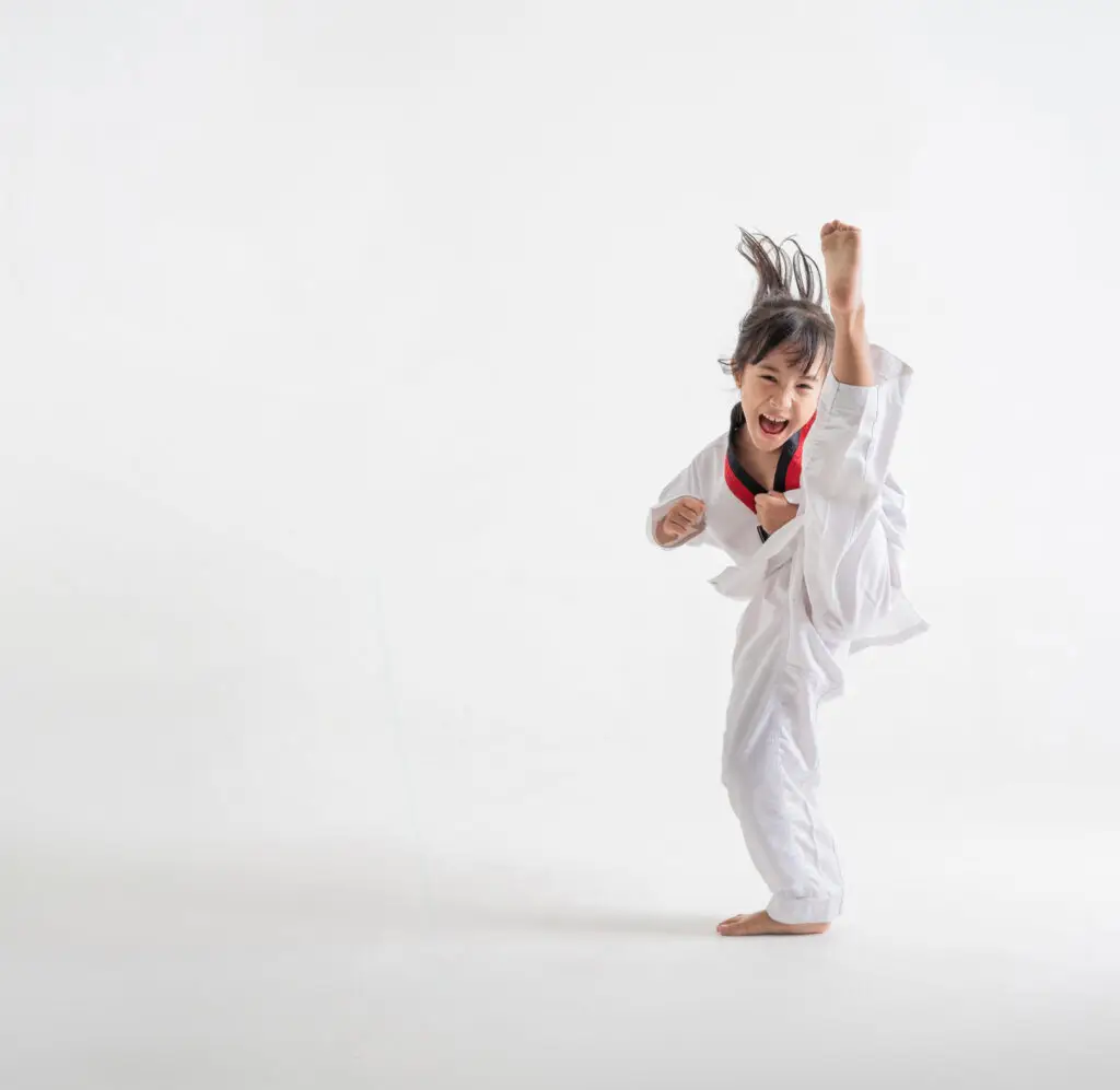 DaeHan TaeKwonDo