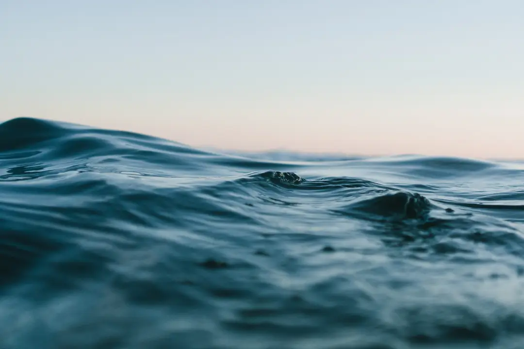 Club Surf And Life-Saving Mérignacais