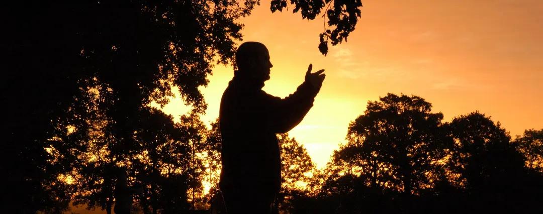 Master Ding Academy Cork - Traditional Tai Chi Chuan