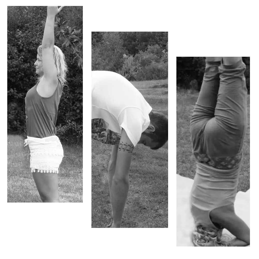 Samkalpa / School De Yoga