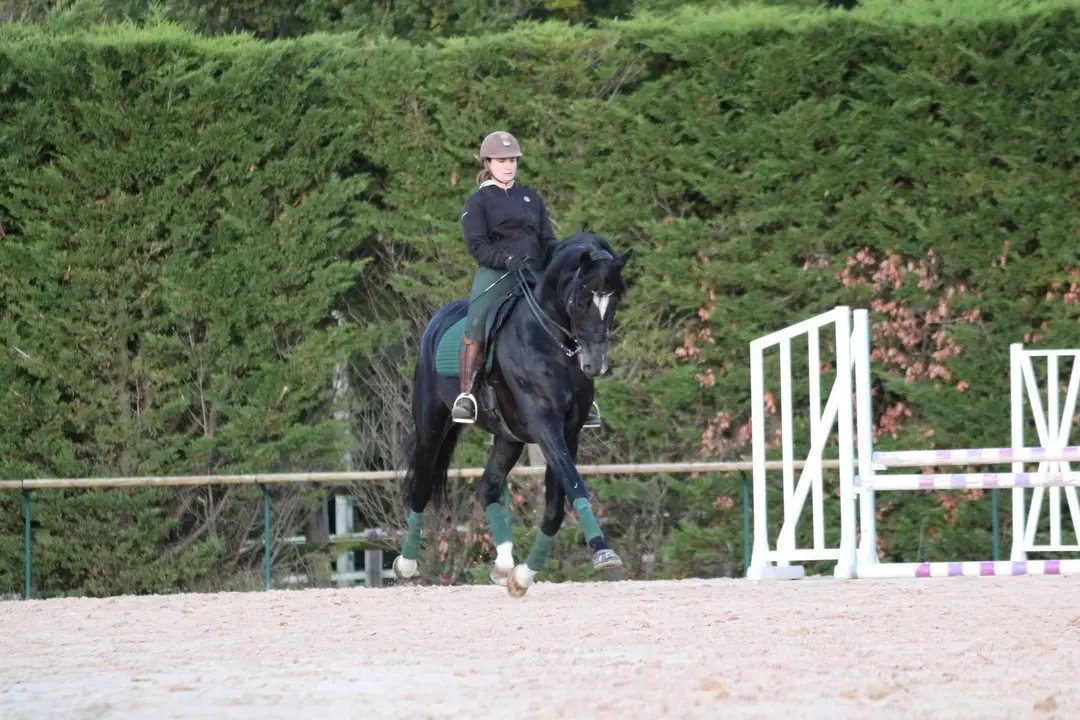 Stud De La Tuilerie