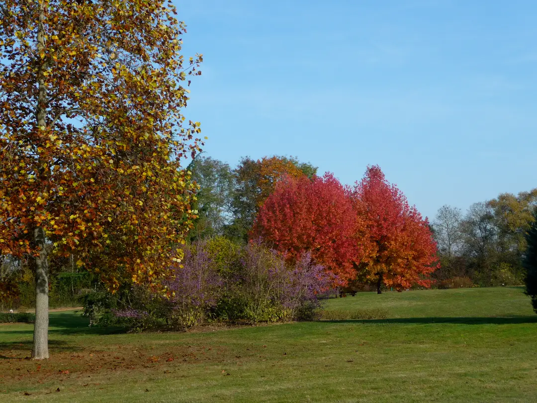 Public Golf of Chalon-sur-Saône