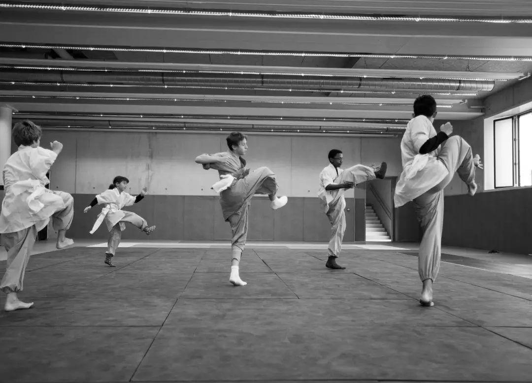 Afa Wushu