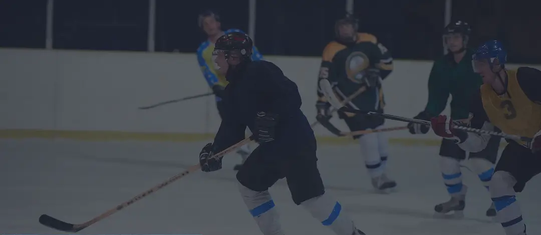 Vibank Rink