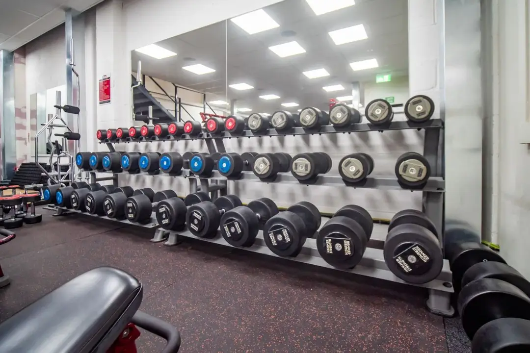 GL Fitness