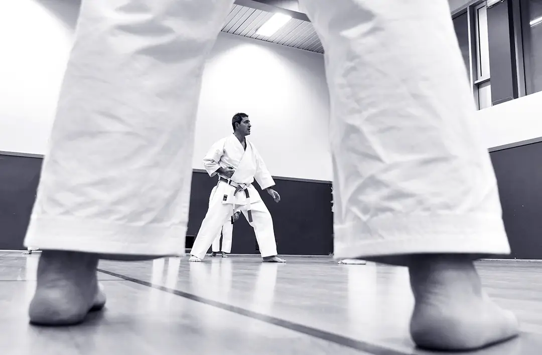 paris-karate
