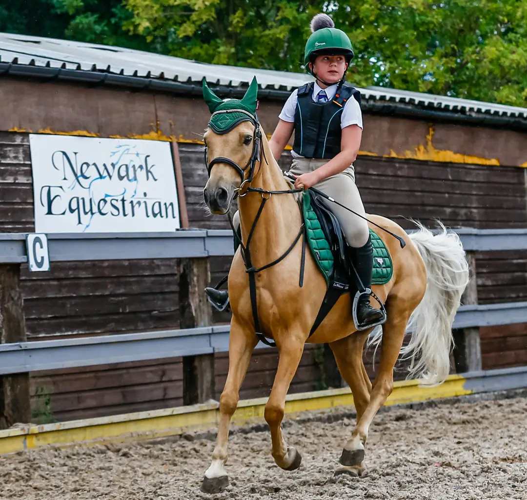 Newark Equestrian