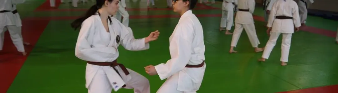 Karate Club Bourguignon