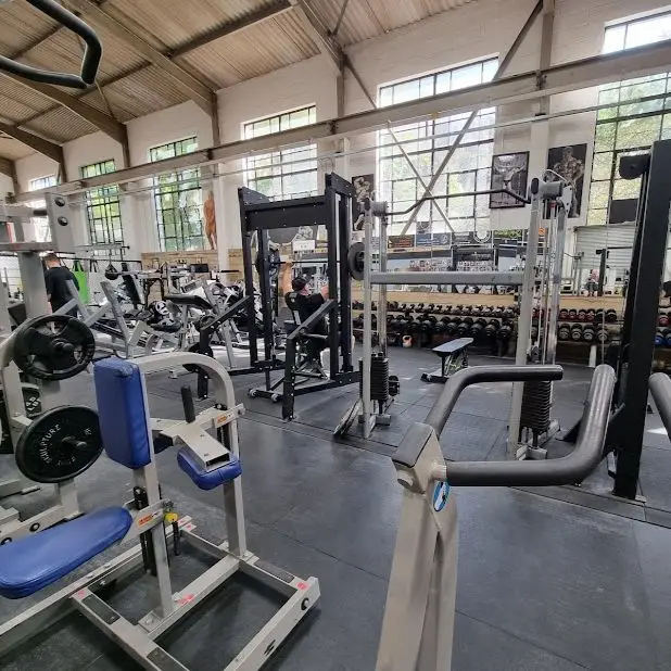 Primitive Gym