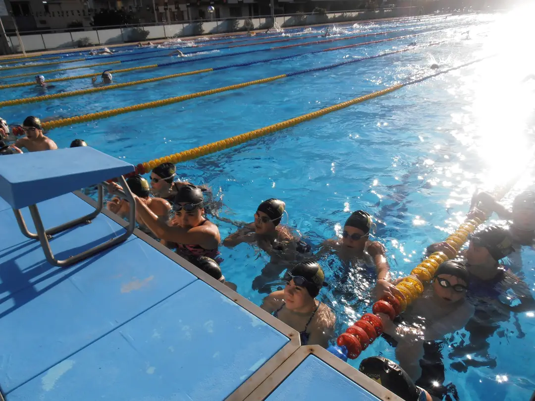 ASCPA Natation