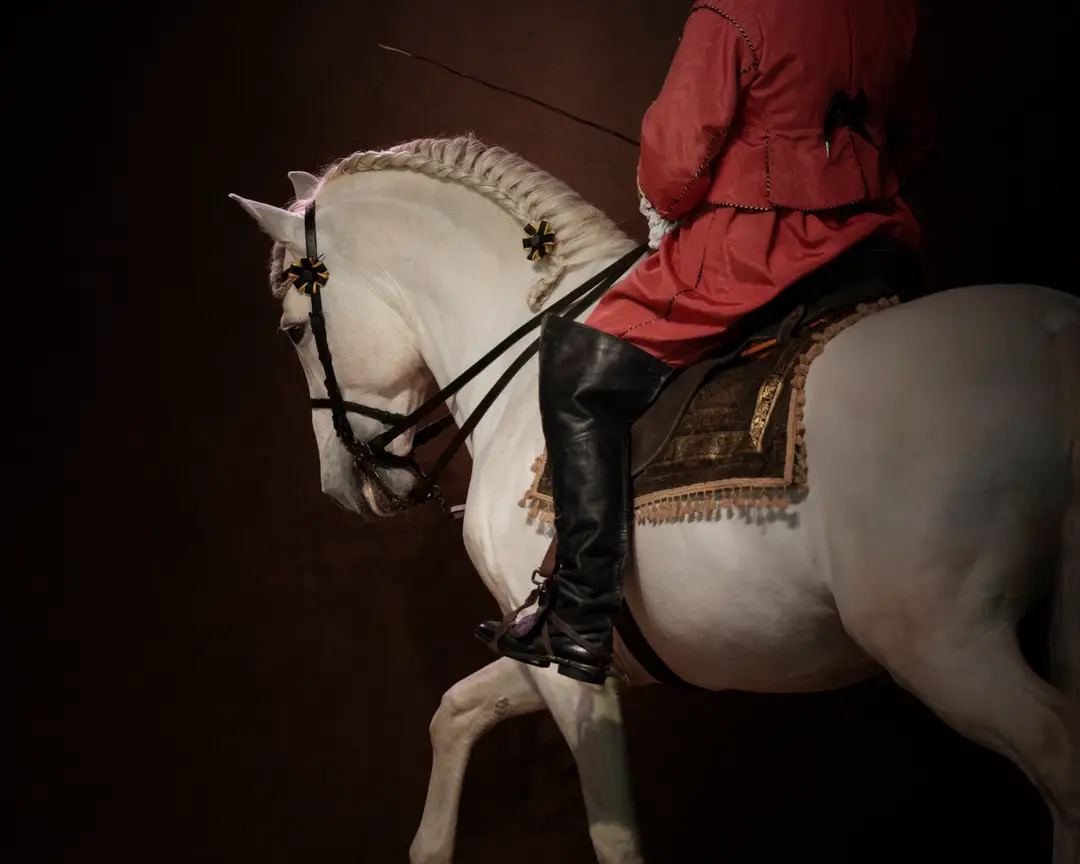 Equestrian Club