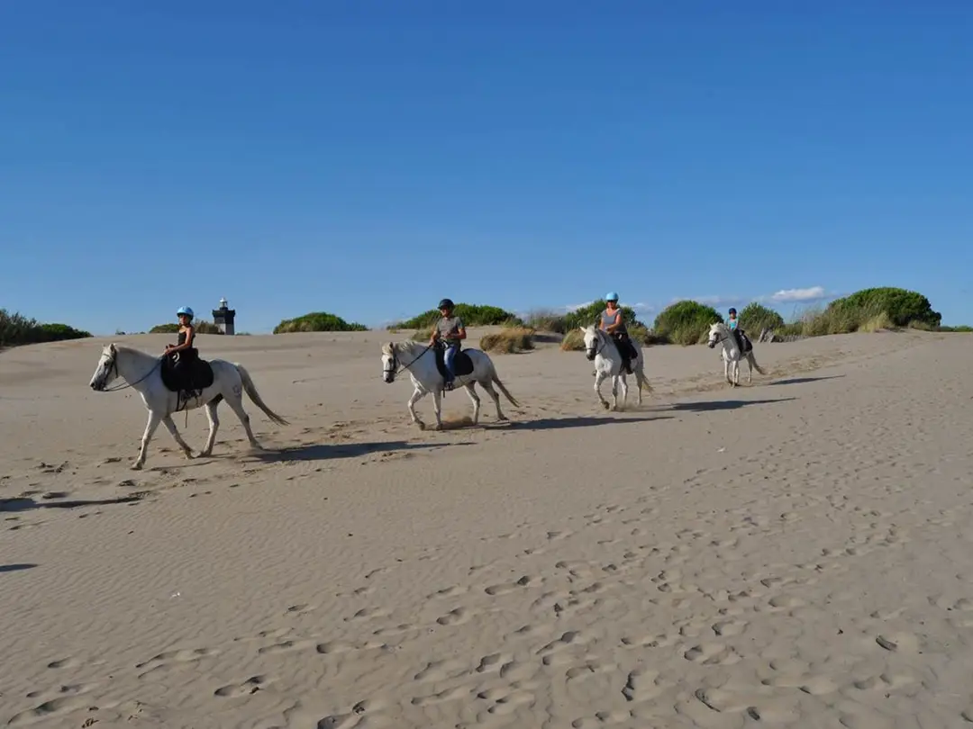 Ecurie des Dunes