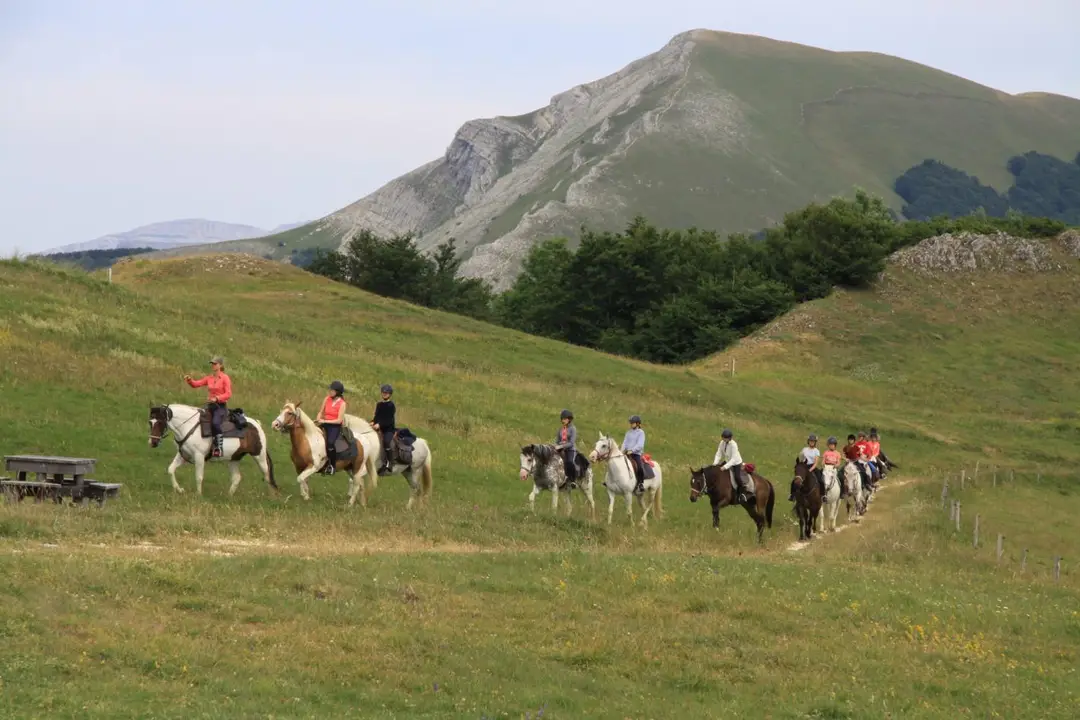 LE VERCORS A CHEVAL