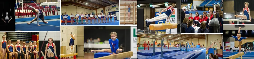 Gymnastics Nelson Inc