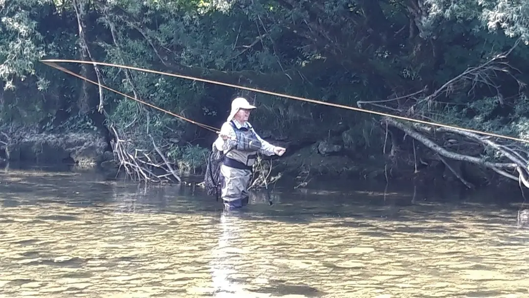 Club de Pêche Sportive Forez Velay - section de St Etienne