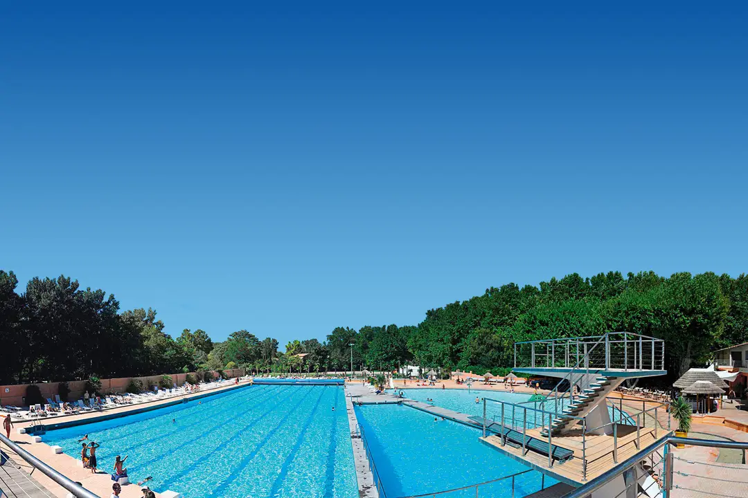 La Palmeraie - Piscine Olympique - Boulangerie - Paillote