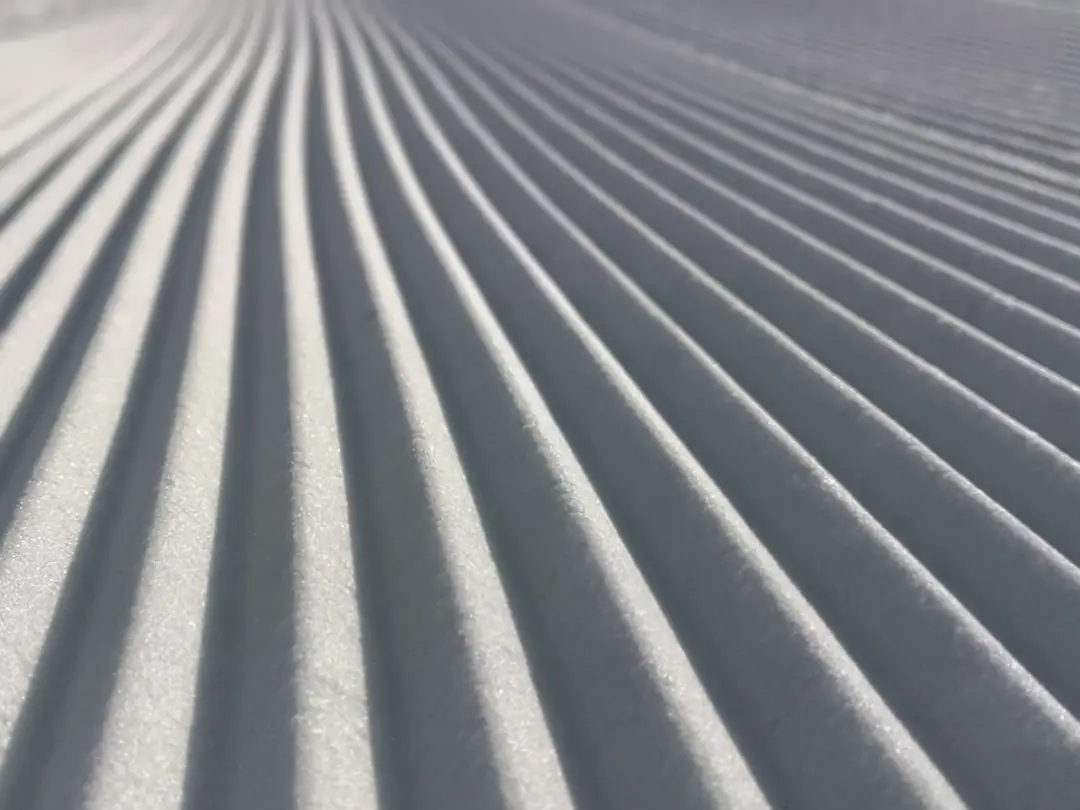The Snow Institute