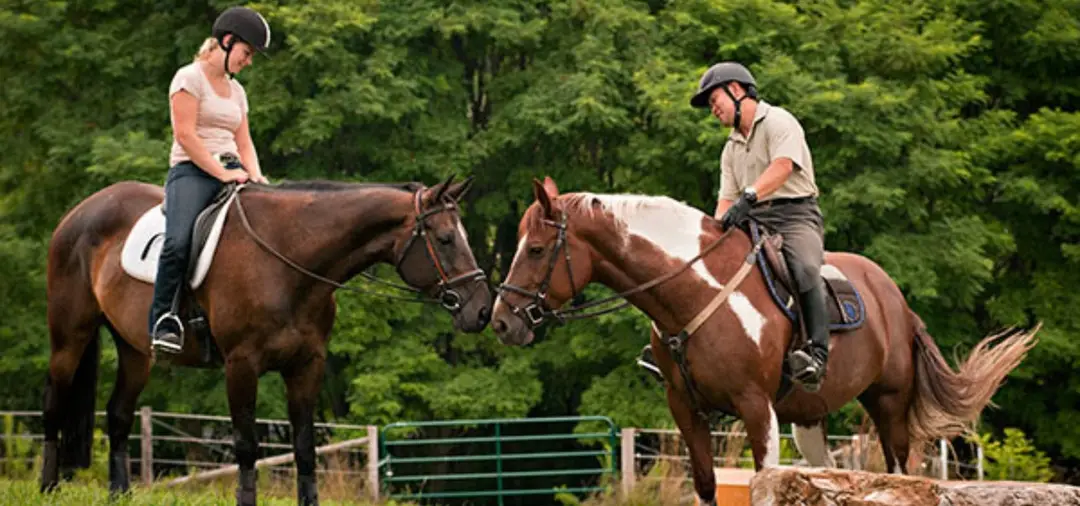 Country Hill Farm