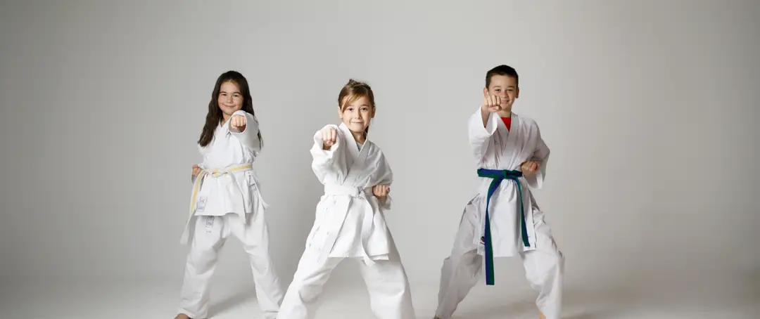 Volk Martial Arts