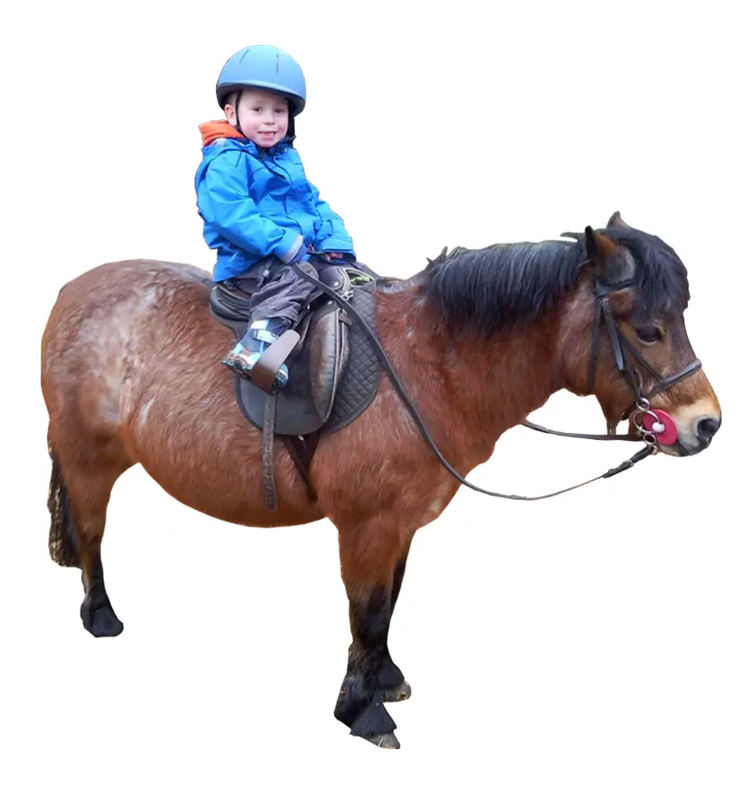 Eqwise Ltd.