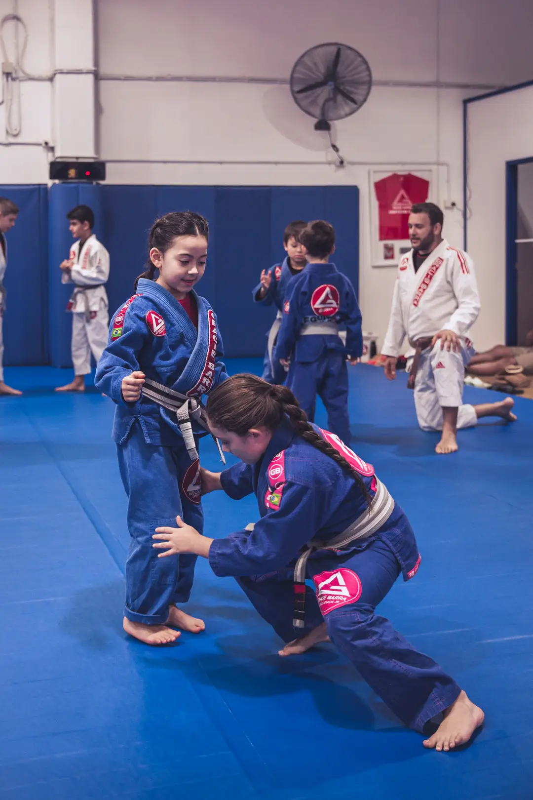 Gracie Barra Ballina