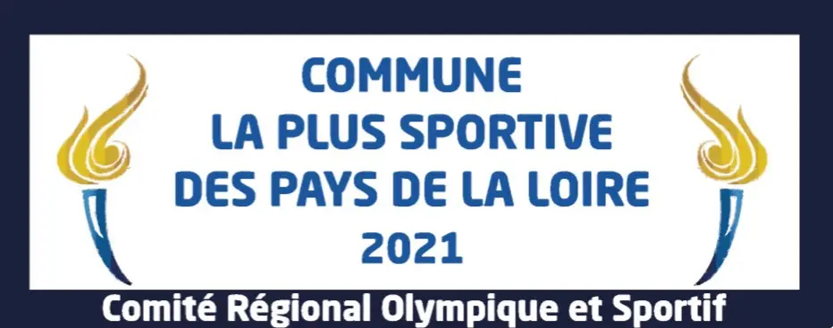 Vsf Gymnastique