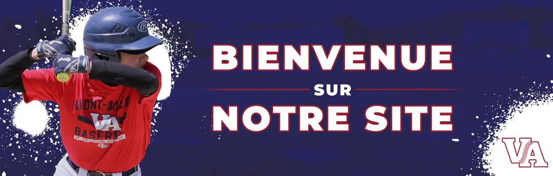 Ligue de Baseball Vimont Auteuil Inc